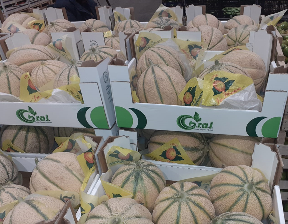 Melone - Sicilia - 3,00 euro al chilogrammo